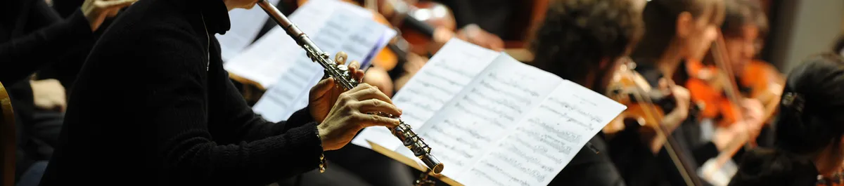 Musicians performing in a symphony orchestra